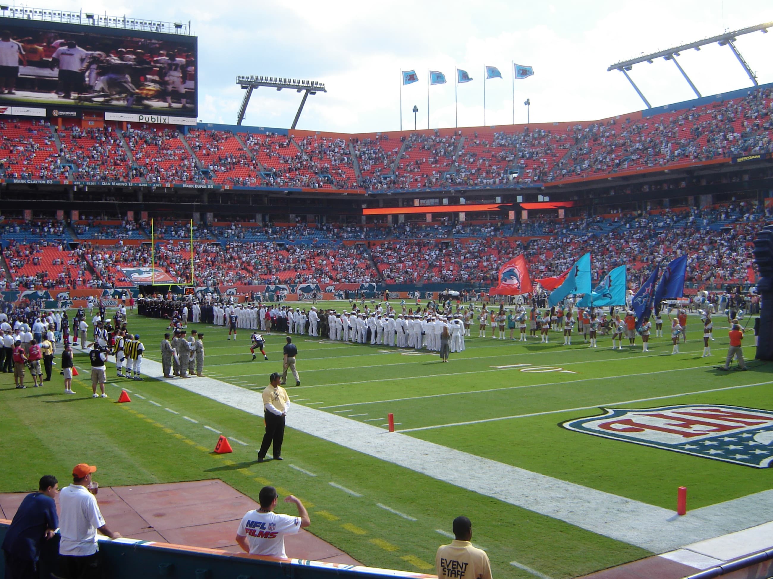 Dolphins 11 11 2007 001