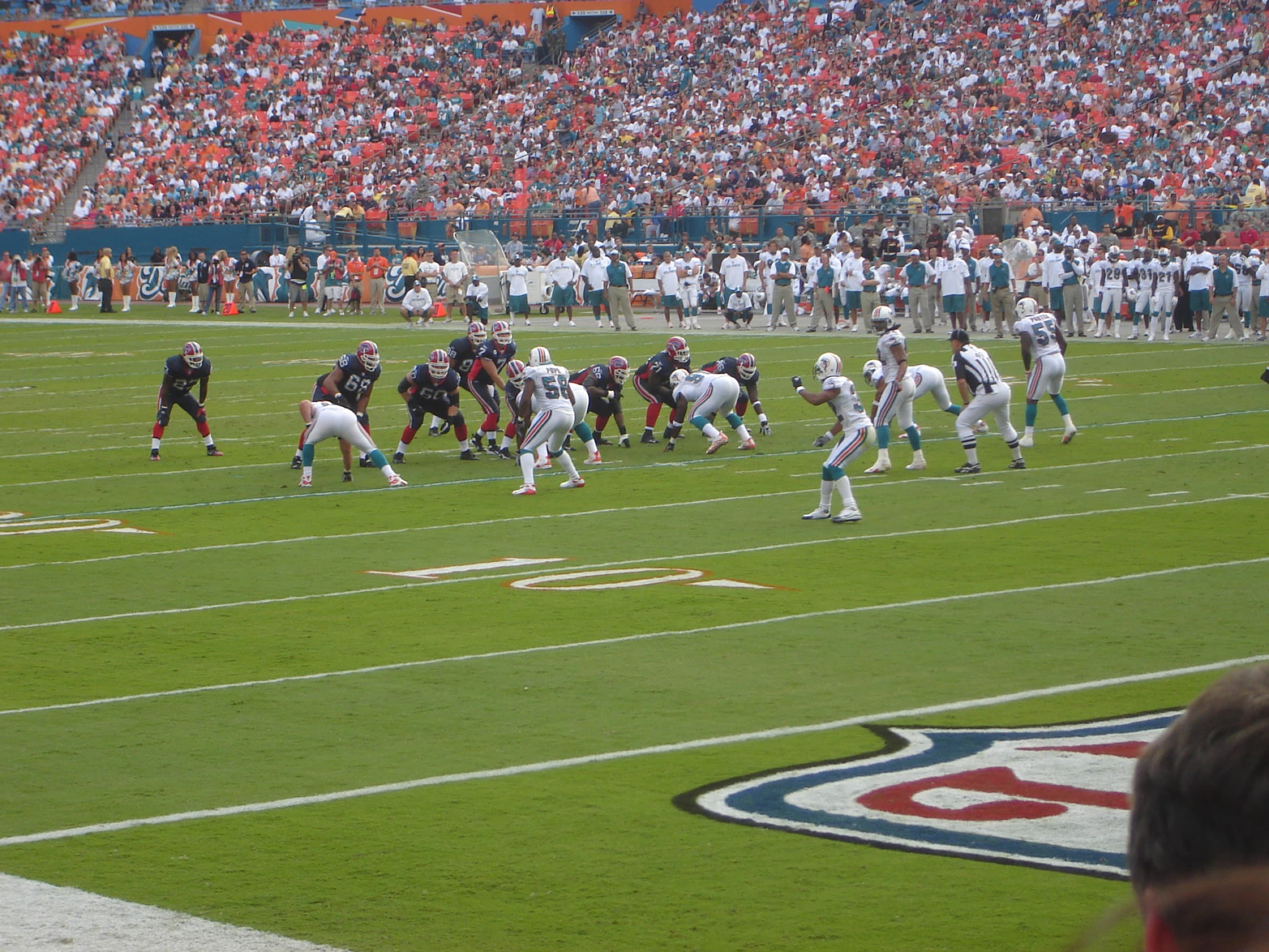 Dolphins 11 11 2007 015